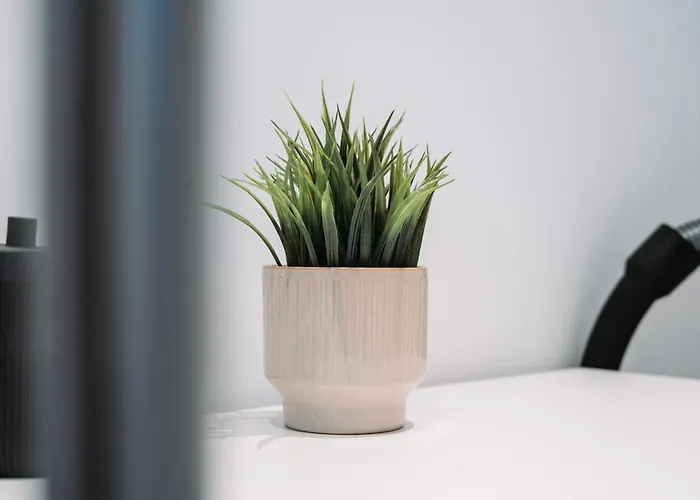 Designer 2br Flat Near Center & The Mosel River * Koblenz (Rhineland-Palatinate)