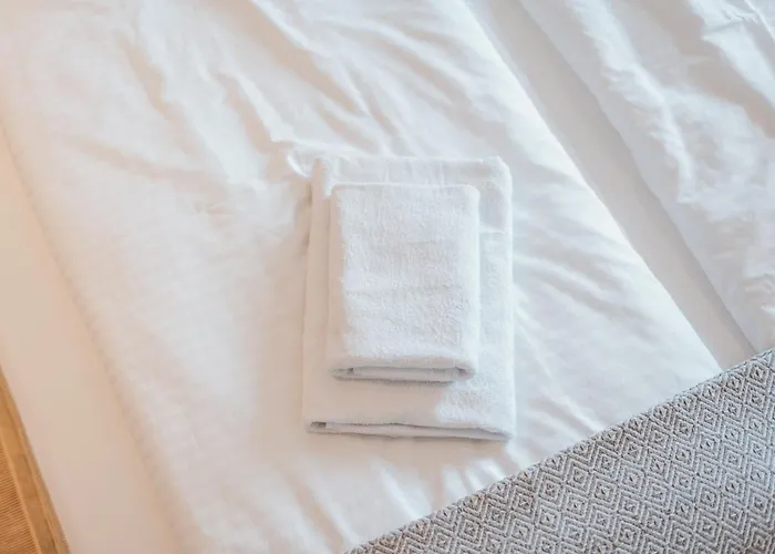 Designer 2br Flat Near Center & The Mosel River Apartment Koblenz (Rhineland-Palatinate)