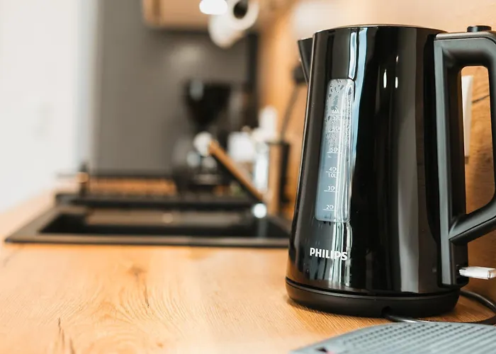 Apartment Designer 2br Flat Near Center & The Mosel River Koblenz (Rhineland-Palatinate)